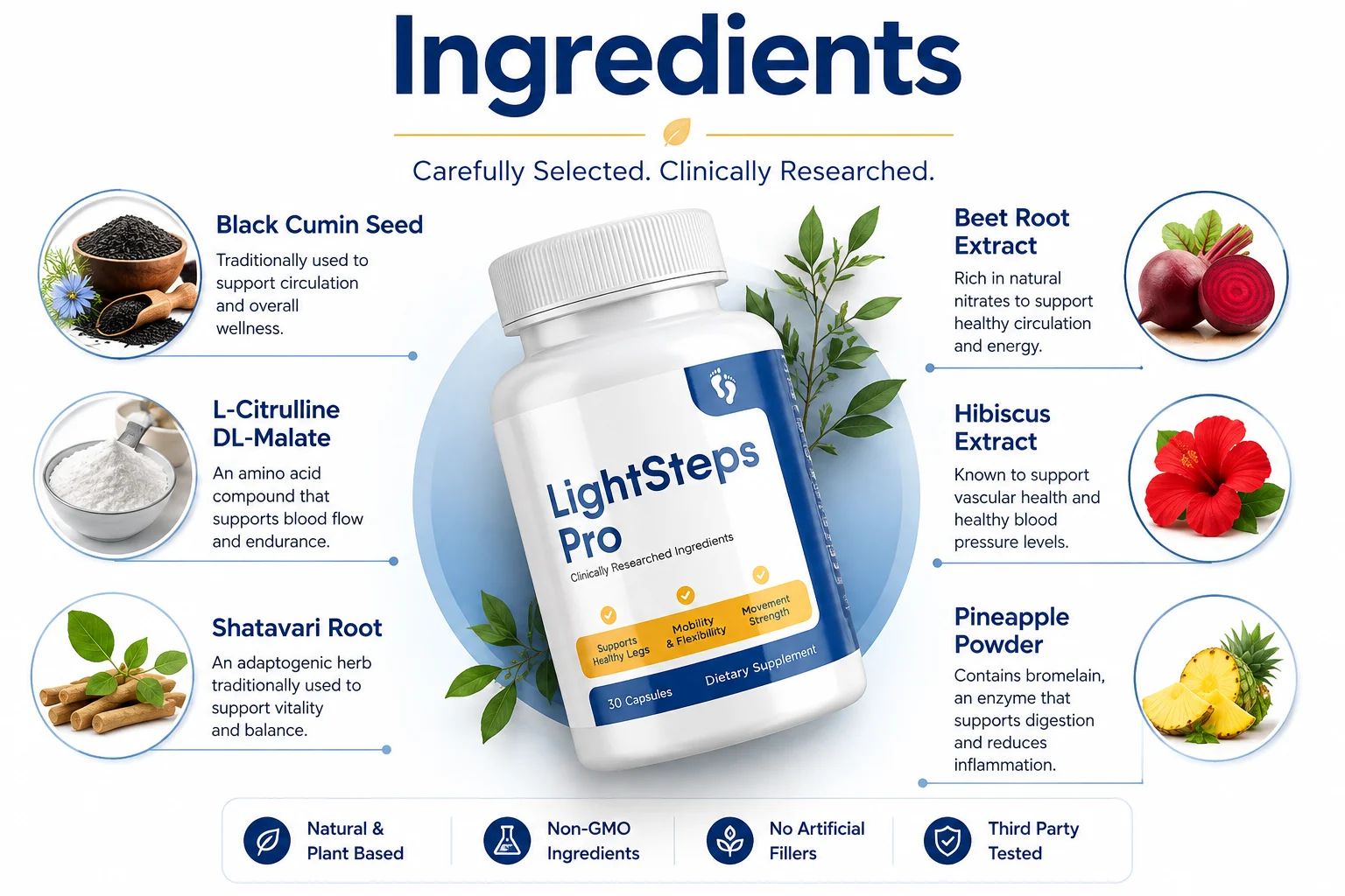 LightSteps Pro Supplement